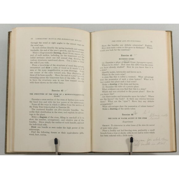 Vintage Science Book "Laboratory Manual for Elementary Botany" 1927, 1st Edition - Picture 6 of 9